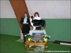 Conformation Show in Thalfang 03.03.2006 1. Platz German Bred Winners Bitch Best of Breed Best of Winners