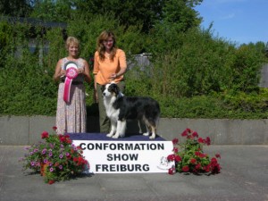 Conformation Show in Freiburg an der Elbe 16.07.06 2. Platz German Bred